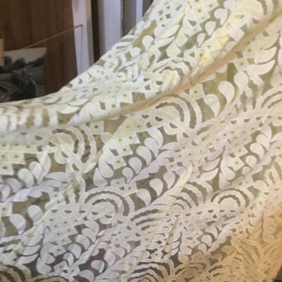 NWT yellow lace dress with lining in dress sleeves sheer bell size 10 - Picture 2 of 7